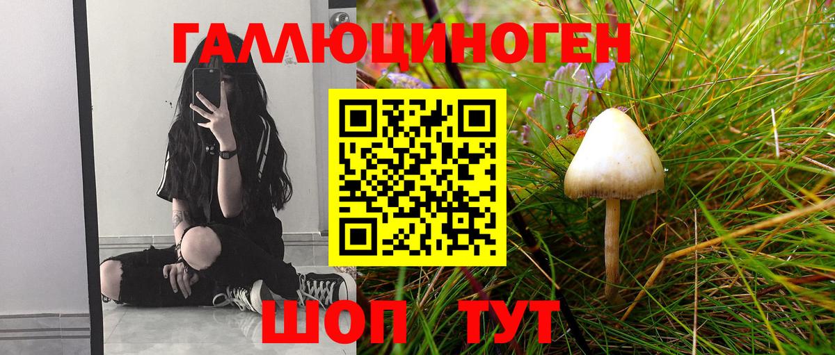 Псилоцибиновые грибы Cubensis  Вход с VPN  Черемхово 